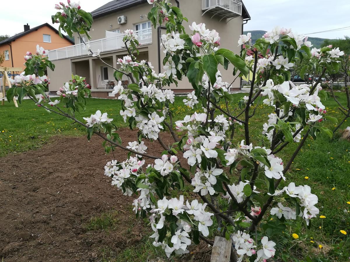 Apartment And Rooms Aracic Korenica Εξωτερικό φωτογραφία